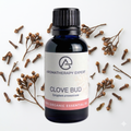 Clove Essential Oil Organic
