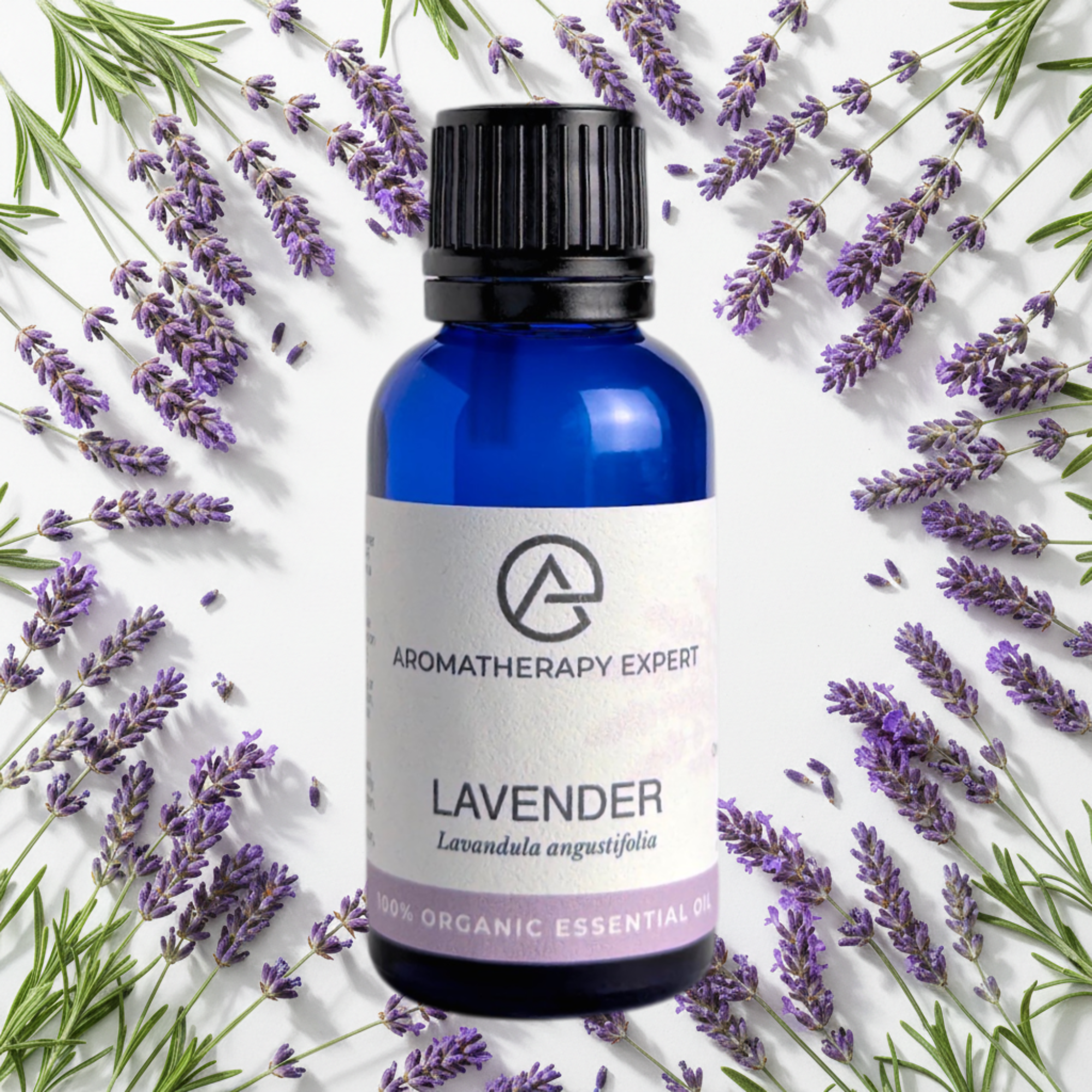 Lavender Essential Oil Organic