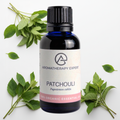 Patchouli Essential Oil Organic