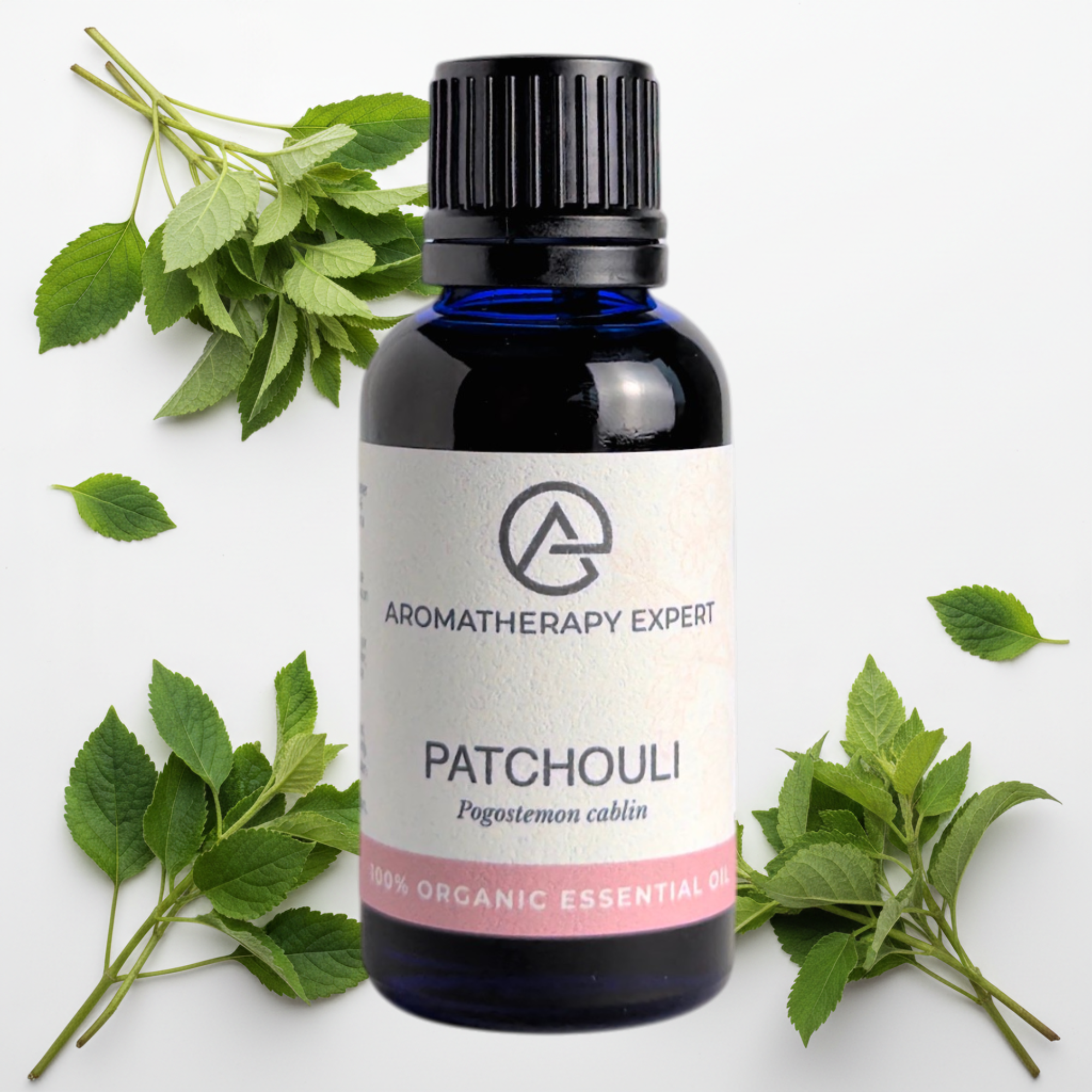 Patchouli Essential Oil Organic