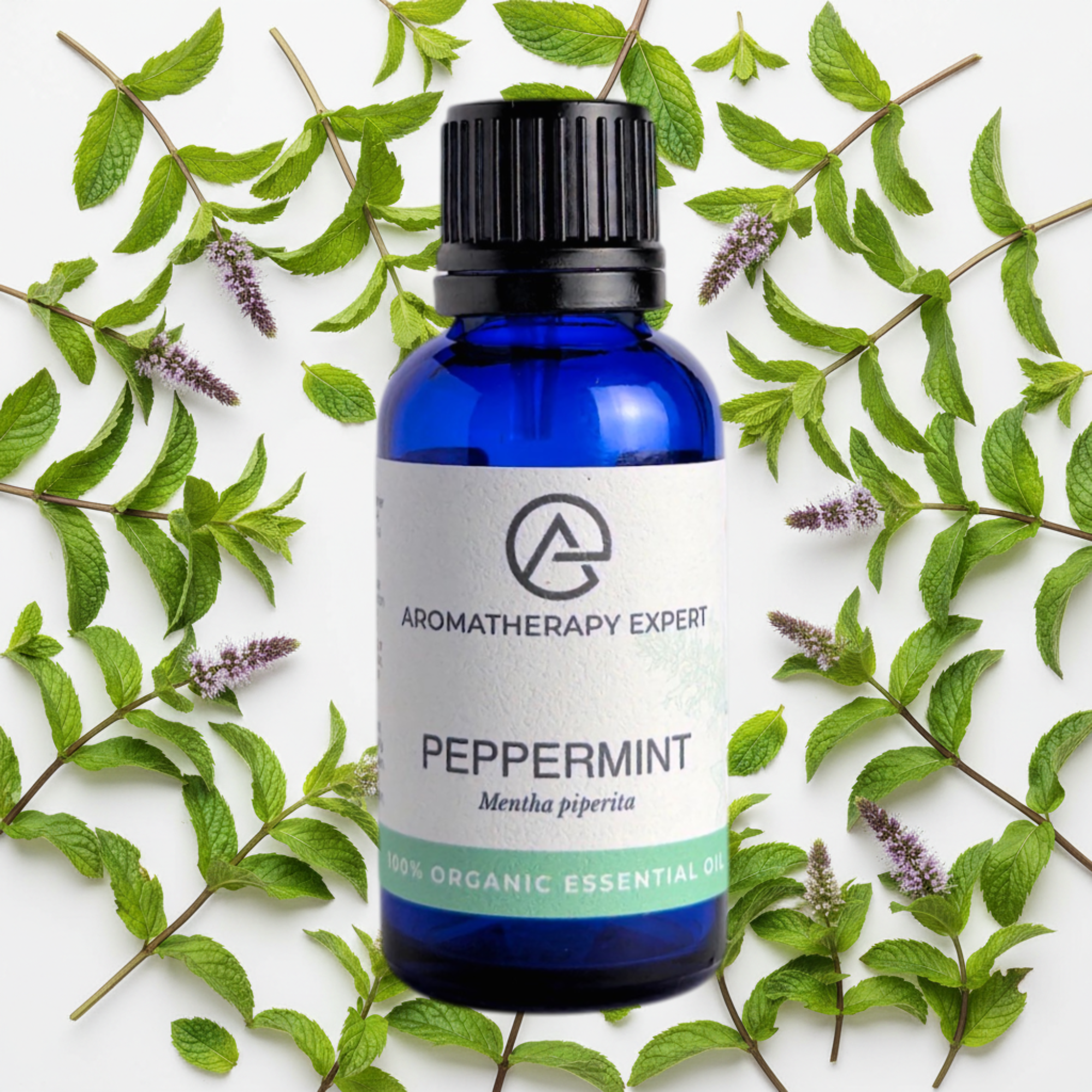 Peppermint Essential Oil Organic