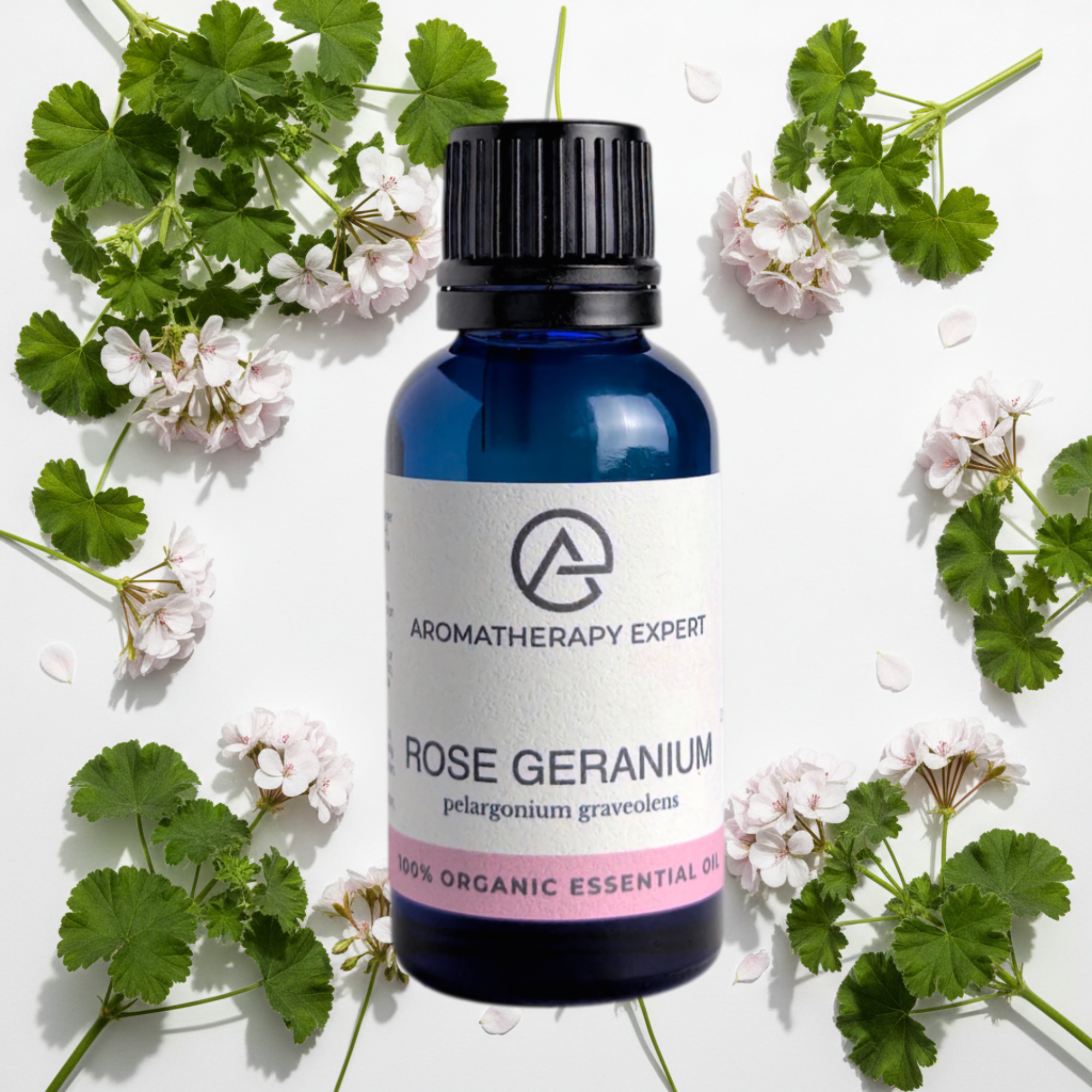 Rose Geranium Essential Oil Organic