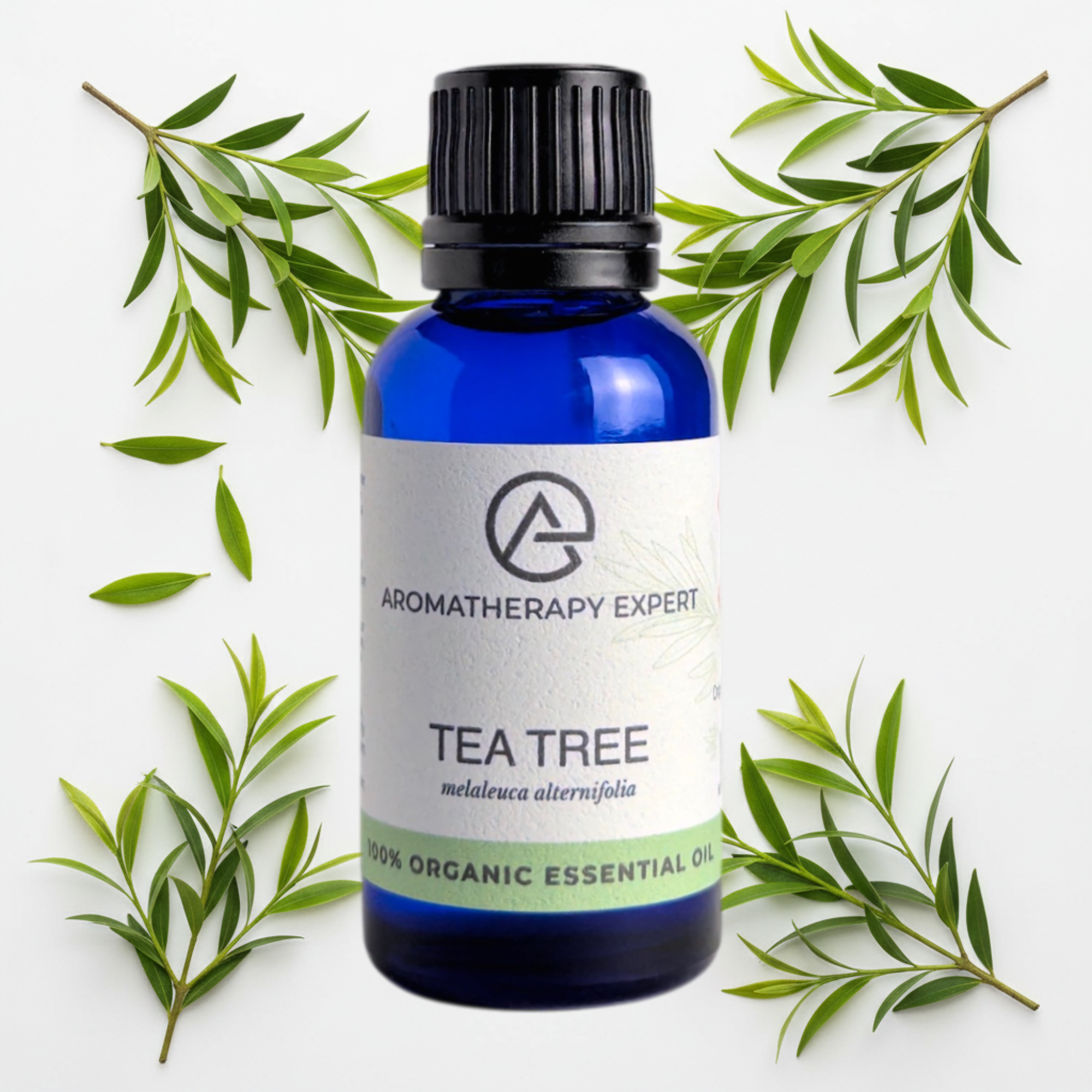 Tea Tree Essential Oil Organic