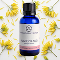 Ylang Ylang  Essential Oil Organic