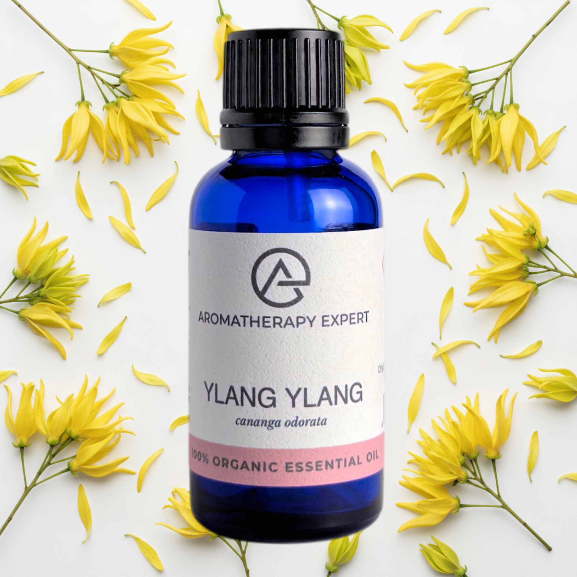 Ylang Ylang  Essential Oil Organic